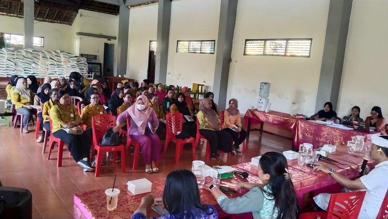 Peningkatan Kapasitas Kader Kesehatan Desa Pulukan: Kuasai KMS, SKDN, dan 6 SPM Posyandu